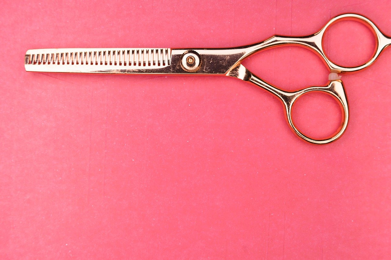 scissors, section, hair-5226464.jpg